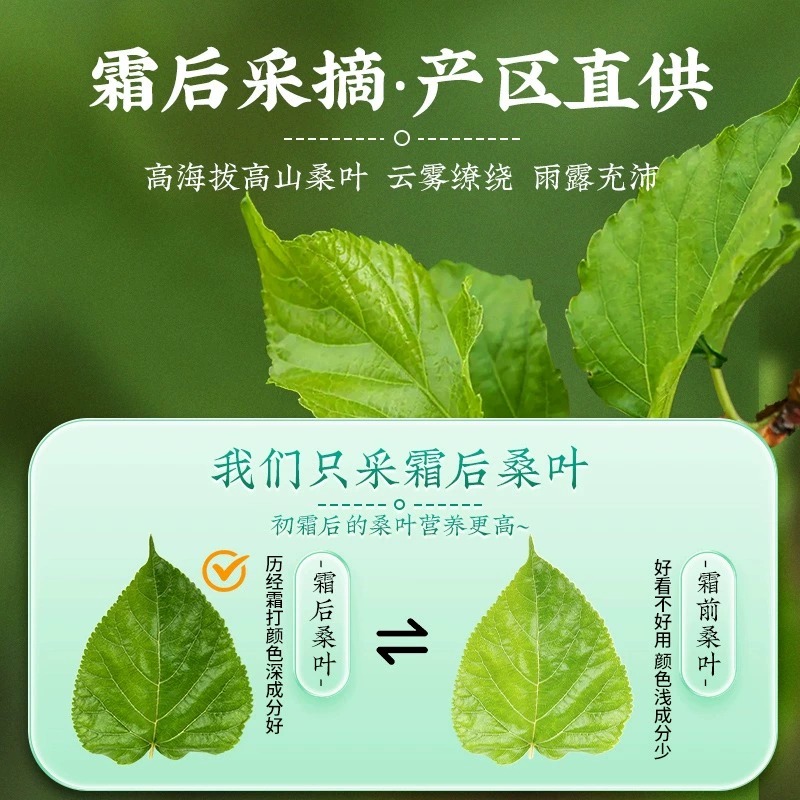 北京同仁堂桑叶茶玉米须降糖血三高茶正品降后干官方旗舰店蒲公英-图1