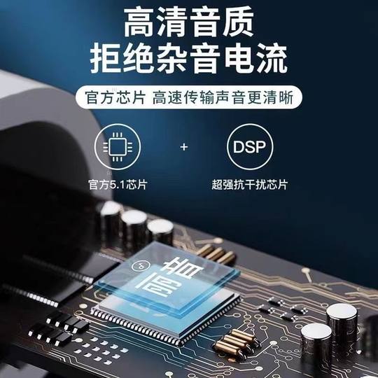 有线耳机半入耳式3.5mm圆孔接口type-c扁口带麦k歌数字音频全兼容