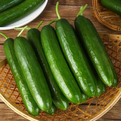 新鲜水果黄瓜脆嫩|千人回购