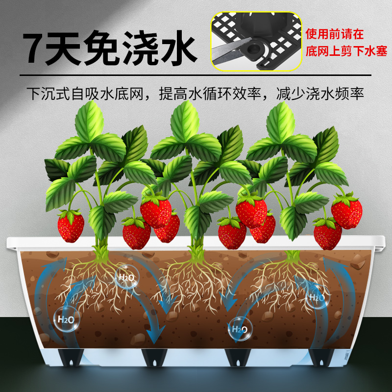 花盆长方形草莓盆塑料盆栽种植箱大号阳台种菜盆长条种菜神器清仓-图1