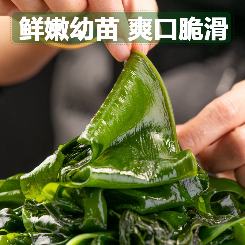 盐渍裙带菜叶5斤批发新鲜海白菜海带海藻菜凉拌火锅食材干货即食 - 图1