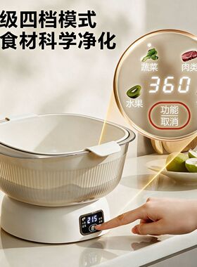 洗菜洗水果蔬菜小型一键漩涡净洗