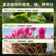 Nutrient soil, general purpose flower soil for flower cultivation