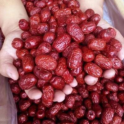 新疆红枣特级若羌灰枣零食核小肉厚煲粥零食特产蜜饯枣类制品