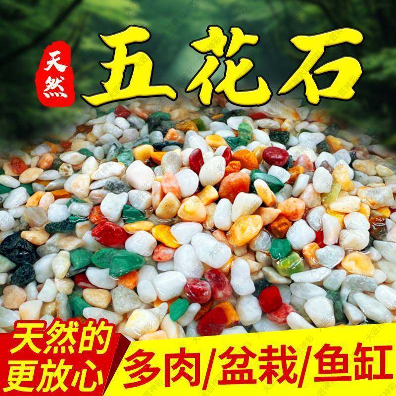天然雨花石五彩石鱼缸造景底部砂石盆栽多肉铺面石鹅卵石装饰摆件,淘宝优惠券,粉丝福利购,淘宝优惠卷