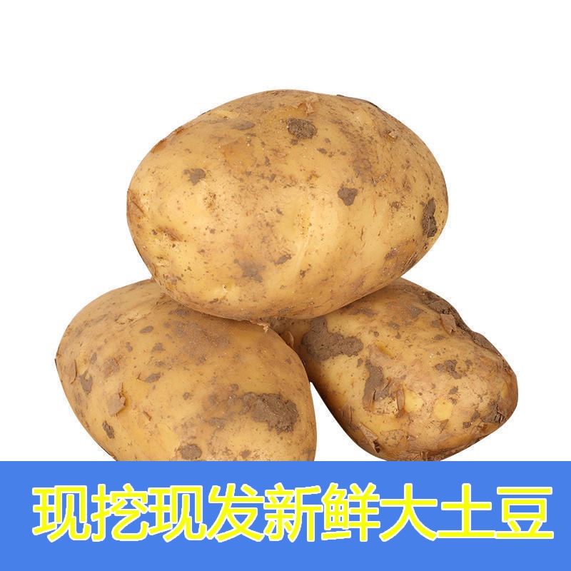 云南土豆9斤马铃薯洋芋新鲜蔬菜沙面粉糯新土豆黄心土豆整箱包邮 - 图2