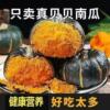 正宗真贝贝南瓜板栗味【净重4.5斤】