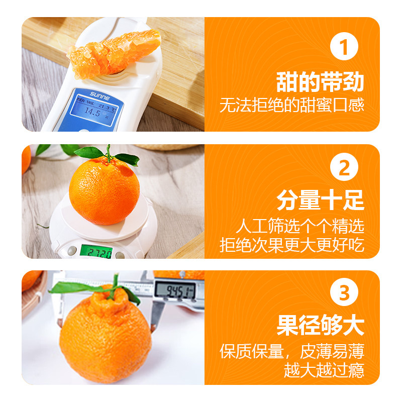 四川春见耙耙柑粑粑柑10斤新鲜水果橘子当季整箱杷杷柑丑桔子包邮,淘宝优惠券,粉丝福利购,淘宝优惠卷