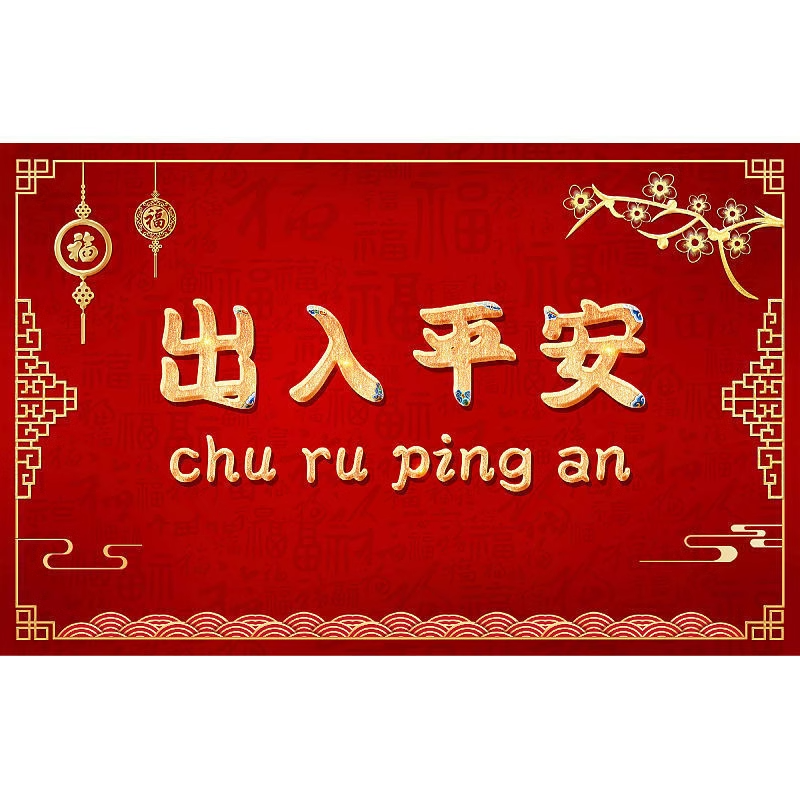 蛇年入户门地垫门口水晶绒脚垫进门出入平安红色喜庆门垫新年地毯