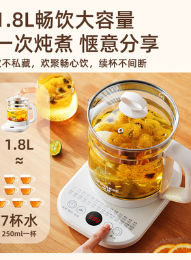 半球养生壶煮茶壶烧水壶玻璃家用办公室煮茶器煎药壶炖煮保温花茶