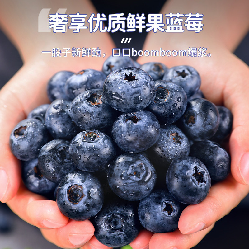 云南蓝莓王新鲜水果高山花香当季整箱特大果顺丰L25孕妇超大鲜果,淘宝优惠券,粉丝福利购,淘宝优惠卷