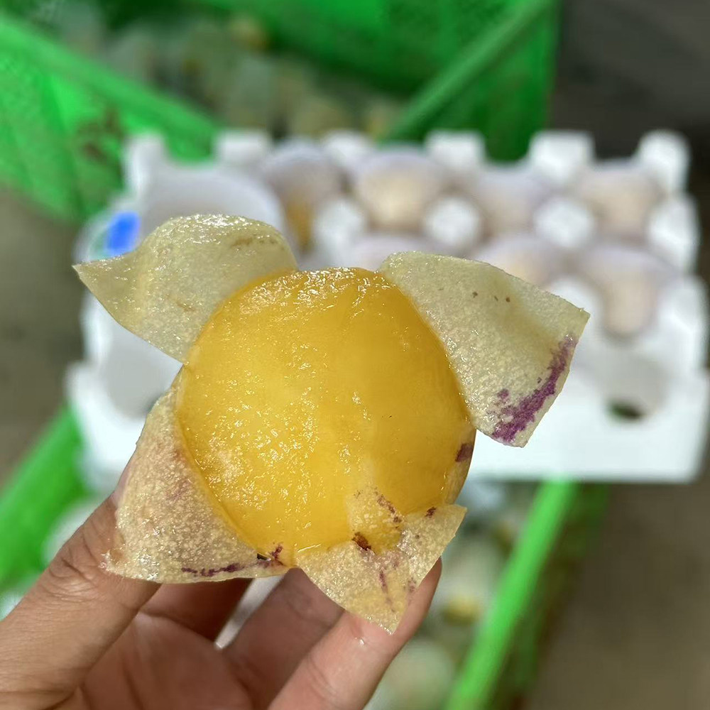 云南石林树熟人参果圆果大果新鲜当季现摘黄肉黄心人参果普箱装,淘宝优惠券,粉丝福利购,淘宝优惠卷