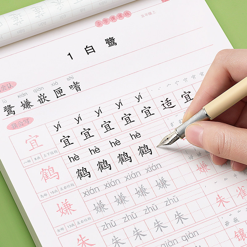 2026新版五年级语文同步临摹练字帖上册下册人教版小学生专用生字字帖钢笔每日一练正楷笔画笔顺练习册练字本写字贴硬笔书法楷书,淘宝优惠券,粉丝福利购,淘宝优惠卷