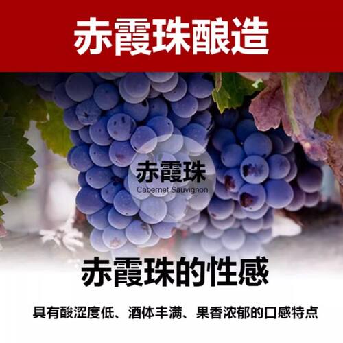 低度甜型露酒750ml*2瓶红葡萄酒微醺好喝过节送礼红酒庄园酒业 - 图1