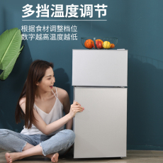 Холодильник 小冰箱家用小型双开门省电迷你宿舍租房用冷藏冷冻一级节能电冰箱