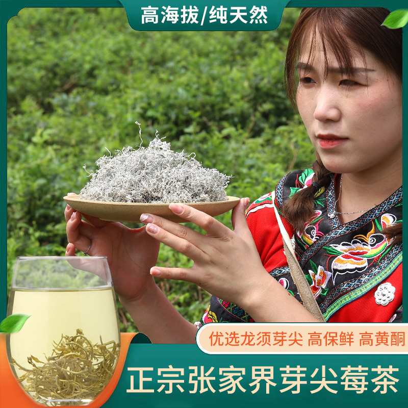 正宗张家界龙须莓茶土家永顺莓茶龙须嫩芽尖霉茶长寿藤茶野生莓茶 - 图2