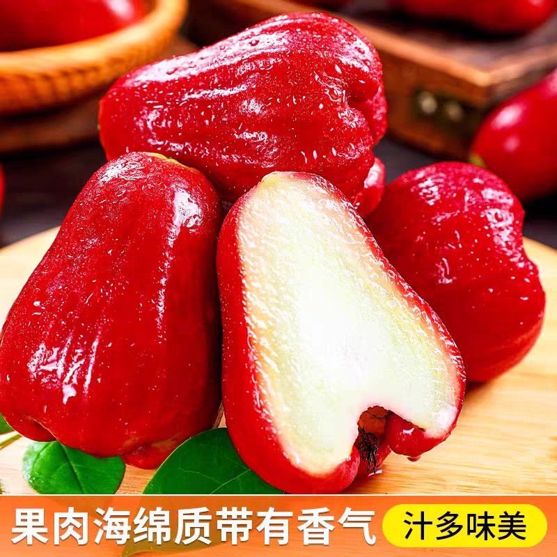 海南黑金刚莲雾中小果热带新鲜水果正宗宝石雾莲脆甜净重包邮当季,淘宝优惠券,粉丝福利购,淘宝优惠卷