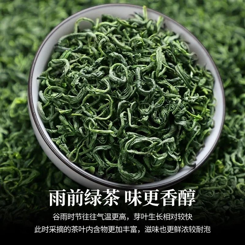 2024新茶叶明前一级绿茶高山云雾春茶浓香日照充足毛尖茶散装500g - 图0