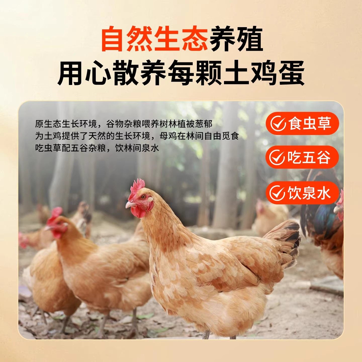 正宗农家散养土鸡蛋大码生鲜鸡蛋50g谷物喂养现捡现发新鲜柴鸡蛋,淘宝优惠券,粉丝福利购,淘宝优惠卷