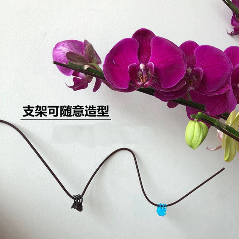 蝴蝶兰花植物支撑杆支架兰夹子爬藤花卉固定蔓藤类专用园艺兰花夹