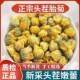 Chrysanthemum fetal chrysanthemum 500g special genuine Tongxiang fetal chrysanthemum