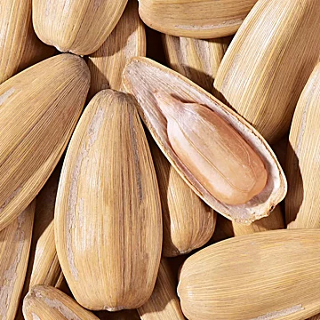 13.6【心里美】正宗打手瓜子500g*2袋[5元优惠券]-寻折猪