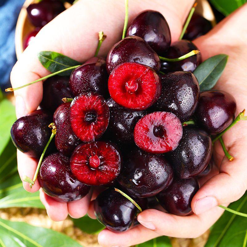 当季脆甜智利车厘子新鲜采摘包邮孕妇水果进口樱桃现货3J4J,淘宝优惠券,粉丝福利购,淘宝优惠卷