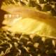The fresh golden pillow durian fruit imported from Thailand is freshly picked from the tree and ripe. The whole one is soft, glutinous and sweet.