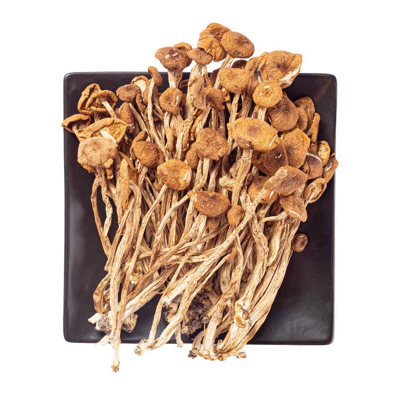 净重无硫新鲜农家茶树菇干货开伞茶薪菇250g非特级香菇蘑菇营养 - 图3