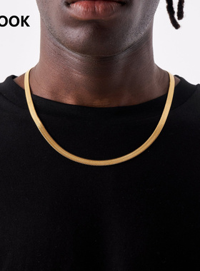 sooshare钛钢项链男蛇骨链项链宽刀片链高级感男款小众设计颈链