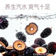 Xiaotian Mulberry Sour Plum Soup Sparkling Water SF