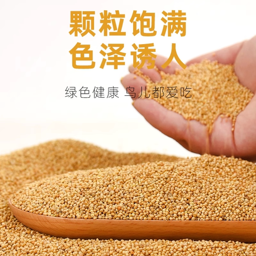 鹦鹉饲料鸟粮新黄谷子带壳小米虎皮鹦鹉饲料玄凤牡丹专用鸟食粮食 - 图1