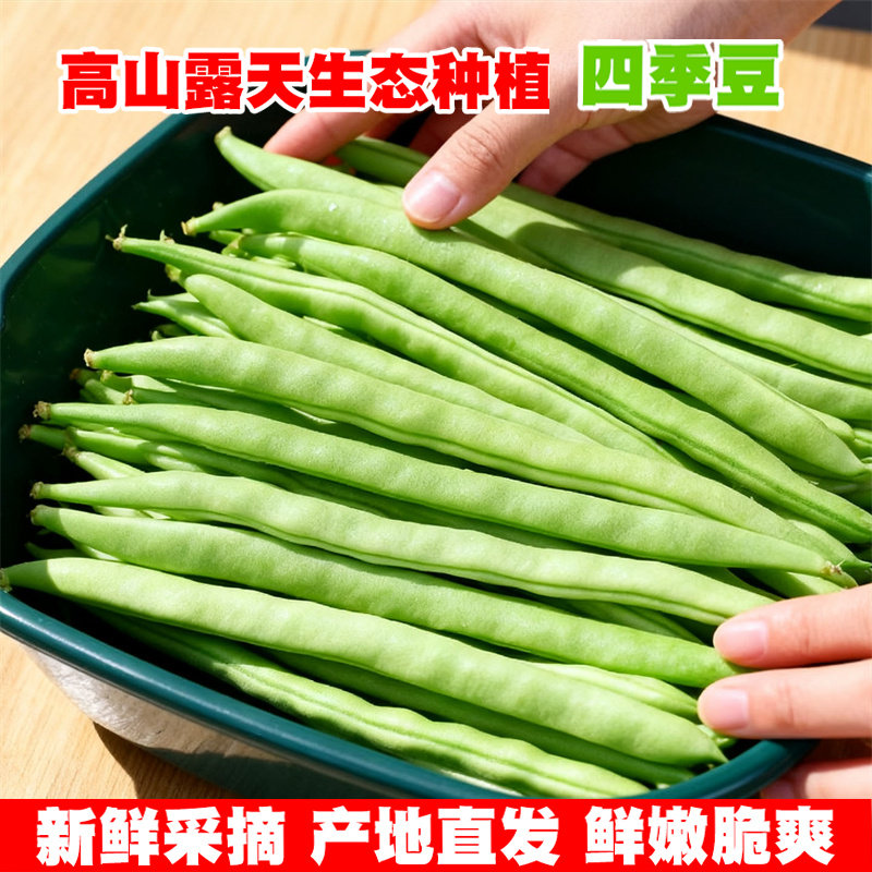 云南四季豆新鲜现摘油豆角露天种植无筋豆嫩豇豆当季农家时令蔬菜,淘宝优惠券,粉丝福利购,淘宝优惠卷