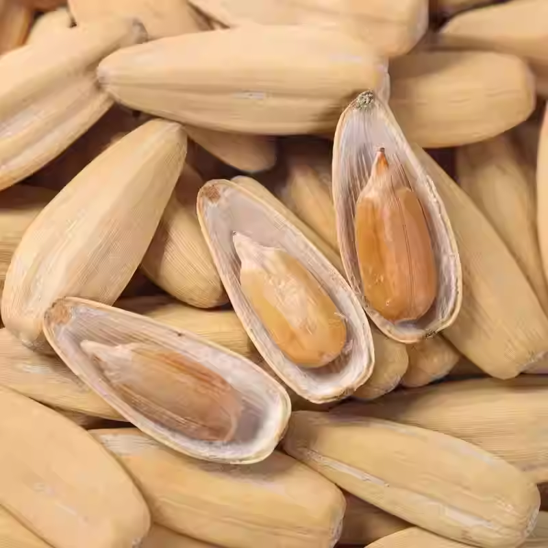 新货大颗粒五香多味瓜子休闲零食脱皮打手瓜子奶油葵花籽散装批发,淘宝优惠券,粉丝福利购,淘宝优惠卷