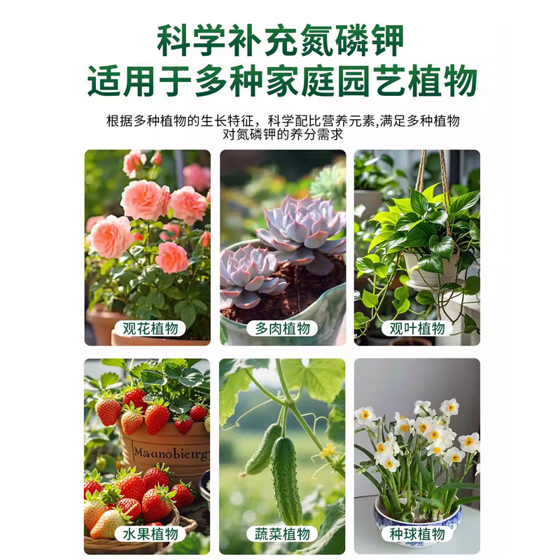 营养液植物通用型家用绿植花卉发财树富贵竹浓缩肥料室内开花黄叶,淘宝优惠券,粉丝福利购,淘宝优惠卷