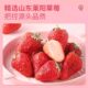 Freeze-dried Crisp Dried Strawberries 500g | Over 1,000 times purchased