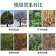 Powerful root remover for big tree rotten roots | Thousands of people collected it