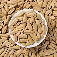 25年新瓜子打手瓜子450g*2袋装