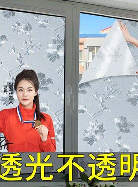 防窥磨砂玻璃贴纸|超6000次加购
