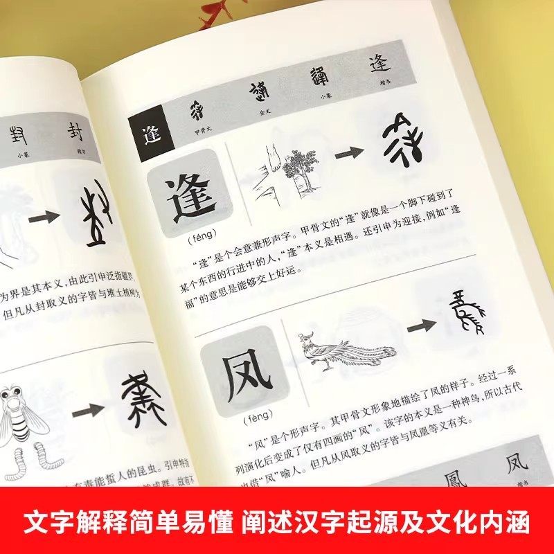 【正版现货】说文解字 给孩子的汉字王国说文解字详解正版象形文字演变书图解中小学生版注音版儿童读物课外书籍畅销书排行榜,淘宝优惠券,粉丝福利购,淘宝优惠卷