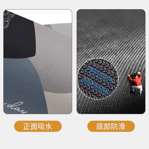 地垫入户门垫进门门口防滑垫子脚垫免洗脚踏垫硅藻泥吸水耐脏室外 - 图2