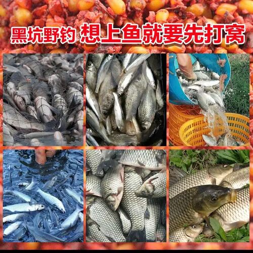 老坛酒米谷麦窝料钓鱼爆窝五谷杂粮打窝米红虫鲫鱼野钓鲤鱼窝玉米 - 图3