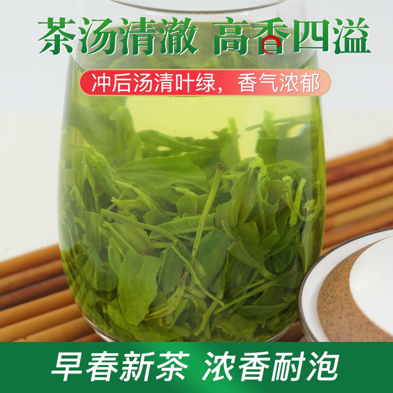 碧螺春茶叶2024新茶浓香型绿茶毛尖散装高山云雾茶正宗袋装有嫩芽 - 图1