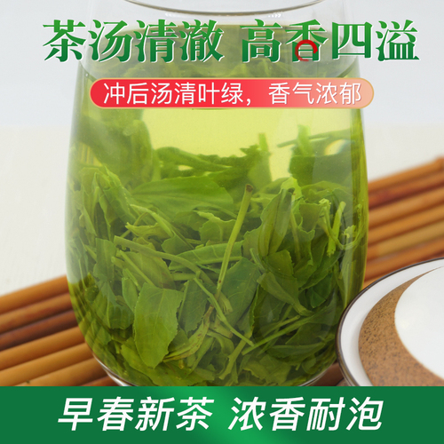 碧螺春茶叶2024新茶浓香型绿茶毛尖散装高山云雾茶正宗袋装有嫩芽