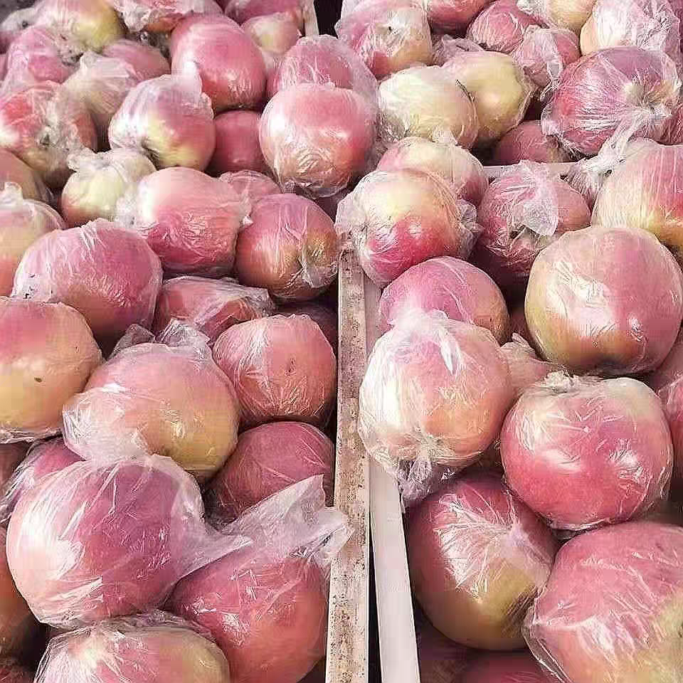 红富士苹果新鲜水果红富士山东特产脆甜整箱包邮当季一级果