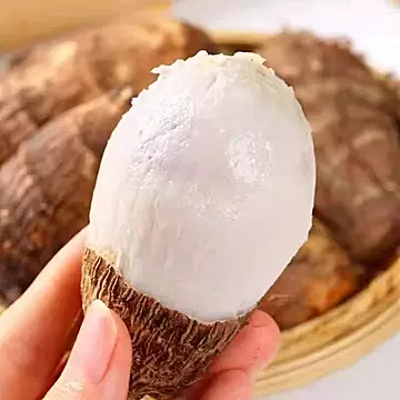 下拉金币13.66！山东新鲜现挖牛奶小芋头5斤[6元优惠券]-寻折猪