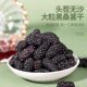 Dried mulberry 500g special grade | over 5000 additional purchases