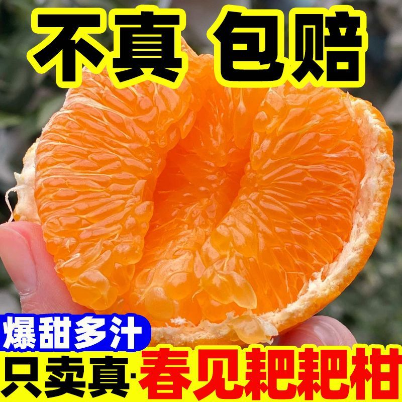 正宗四川春见耙耙柑新鲜果当季粑粑柑柑橘丑八怪桔子现摘年货节,淘宝优惠券,粉丝福利购,淘宝优惠卷
