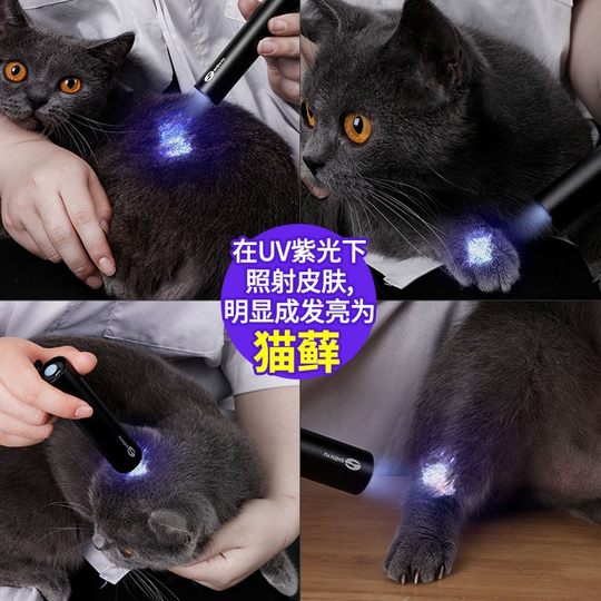 猫藓伍德氏灯365nm照尿紫光灯手电筒紫外线uv固化美甲笔专用鉴定