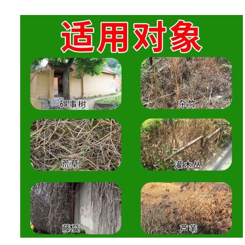 灭树粉烂树根剂强力除大树一滴树枯死专用烂根药杀大树杂草一扫光 - 图1